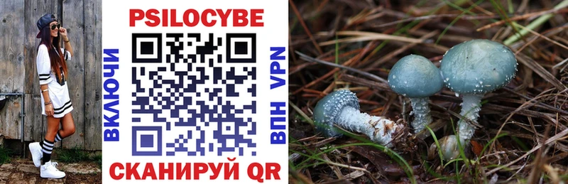 Купить где  Красный Сулин  Псилоцибиновые грибы прущие грибы 