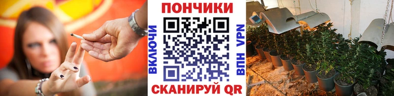 Бошки Шишки семена  Купить закладки  Красный Сулин 